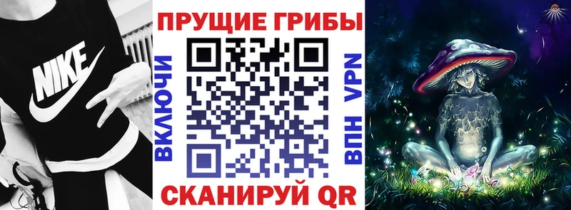 Купить где  Талдом  Псилоцибиновые грибы ЛСД 