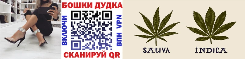Конопля ГИДРОПОН  Купить где  Талдом 